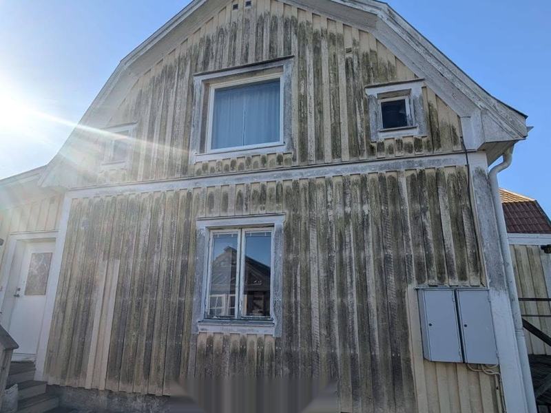 Träfasad före fasadtvätt, algpåväxt