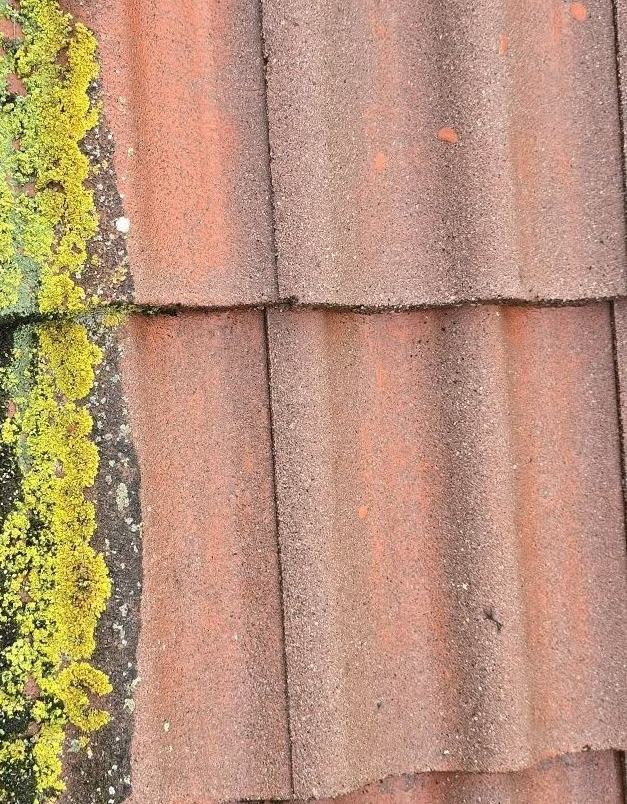 Taktvätt efter – rengjort tak